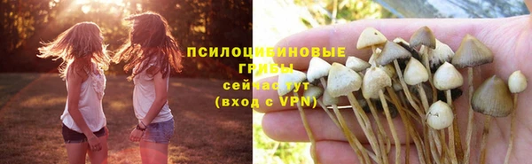 дживик Карпинск