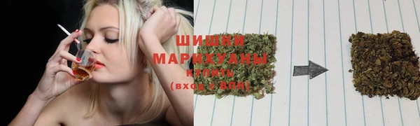spice Касимов