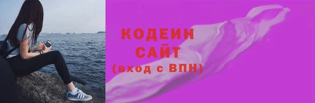 дживик Карпинск