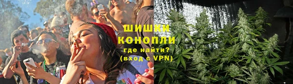дживик Карпинск