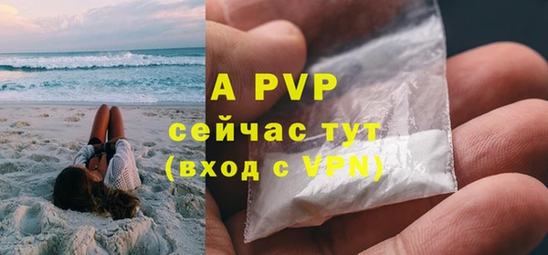 дживик Карпинск